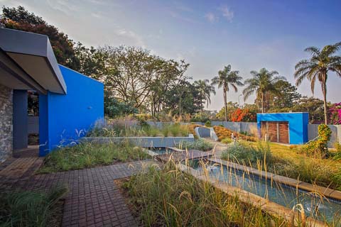 Blue on Palm - Gerhard Jooste Architects
